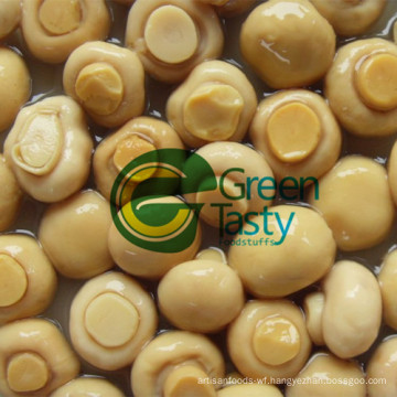 Good Quality Canned Mushrooms Vegetables